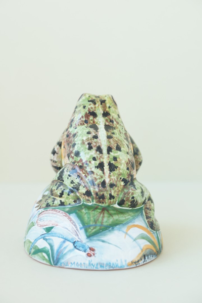 Лягушка на камушке