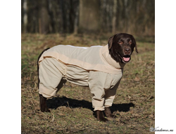 Комбинезон для собак с ловушками от клещей OSSO Fashion размер 50 (кобель)