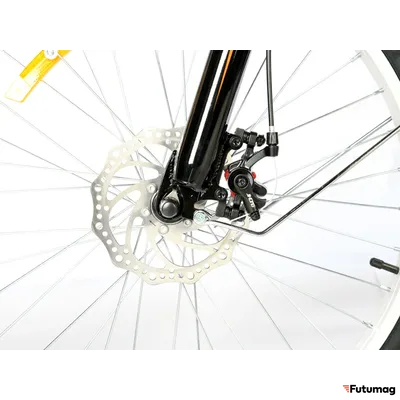 Электровелосипед трицикл РВЗ Чемпион (RVZ-HZ-01) черный