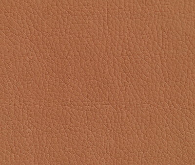 Oregon 06  рыже-коричневый