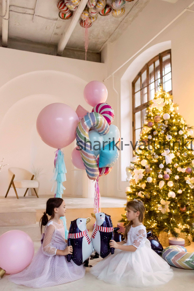 Ходячий шар "Пингвин"