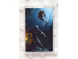 Магниты Wither, Ведьмак №12