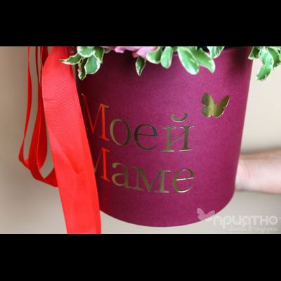 ЦВЕТОЧНАЯ КОМПОЗИЦИЯ № 120