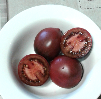 Семена томата Ниагус