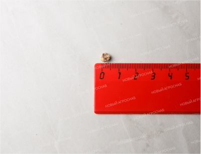 Комбикорм ПК-1 для кур-несушек (Рыбинск) / 35кг