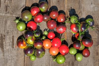 Томат Dwarf Gondwana Lightning (Гном Гондвана Молния), 10 шт