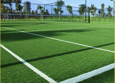 Спортивный газон Износоустойчивая, 10кг