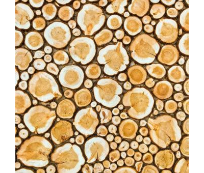 Панно из можжевельника на щите 1200х500 мм