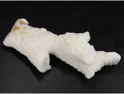 Коралл белый, коллекционный образец, Китай (89*37*25 мм, 40 г) №37700