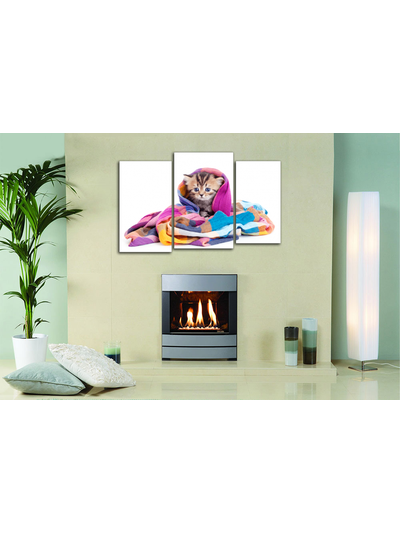 Модульная картина "Котенок в шали"