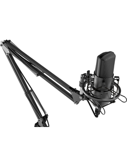Профессиональный конденсаторный студийный микрофон RDM-169 (черный)