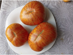 Томат Оранжево-красный Блюз (Orange red Blues)