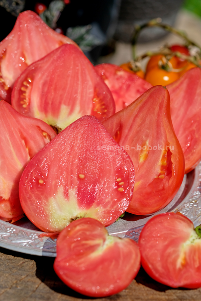 Томат Кызыл Тау, 10 шт