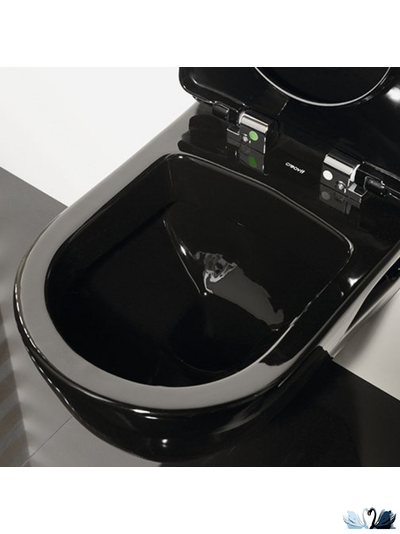 Чаша унитаза Creavit TP325-00SI00E-0000 Terra, с функцией биде, черная, подвесная