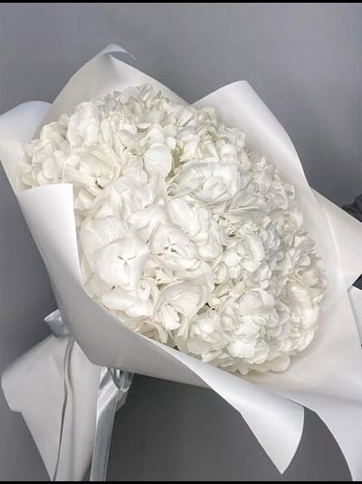 7 белых гортензий