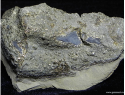 Пирит, "спектропирит", в полости конкреции. Россия. 100*55*45мм