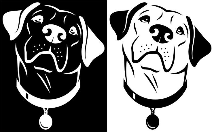 Лабрадор тату эскиз