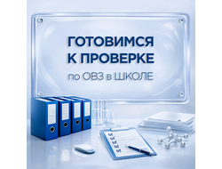 ПАКЕТ «ГОТОВИМСЯ К ПРОВЕРКЕ ПО СОПРОВОЖДЕНИЮ ДЕТЕЙ С ОВЗ И ИНВАЛИДНОСТЬЮ В ШКОЛЕ»