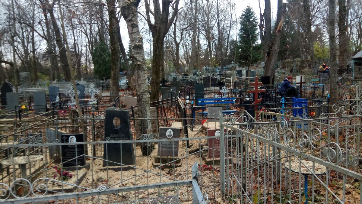 Вырубка крупного тополя на Рождественском кладбище 