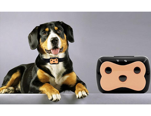 D69 pet locator sales