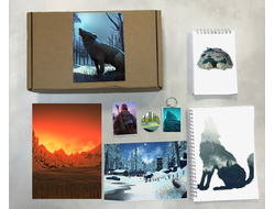 Бокс The Long Dark, Лонг Дарк №8