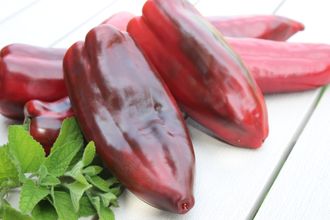 НАЖЕРАНСКИЙ (NAJERANO PEPPER), Испания