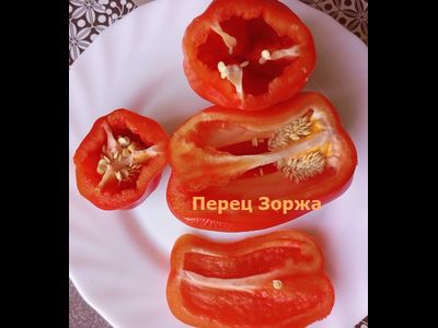 Перец сладкий Зоржа