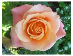 мисс Пигги (Miss Piggy)  Ч/Г,   Lex