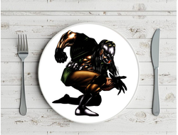 Тарелка Мортал Комбат, Mortal Kombat №46