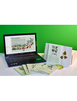 Гербарий натурально-интерактивный "Деревья и кустарники"