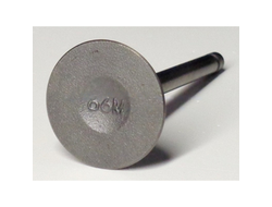 klapan-f15bms-vpusknoy