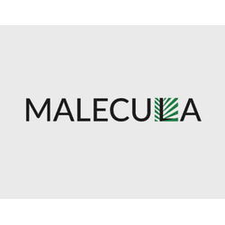 Нанопластика волос Malecula