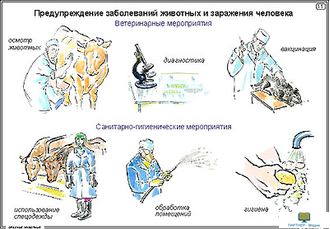 Опасные животные  (15 шт), комплект кодотранспарантов (фолий, прозрачных пленок)