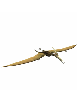 динозавры Птерозавр