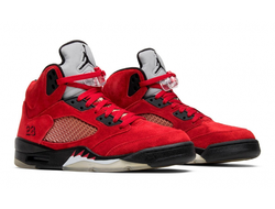 Air Jordan 5