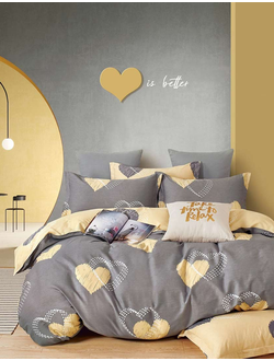 Постельное белье TANGO Twill сатин семейное 150x200x2 220x245x1 50x70x2 TPIG5-1534-50