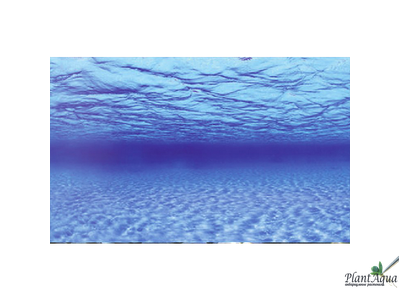 Фон-пленка двухсторонняя Sea Scape/Natural Mystic 60 см (цена за метр)