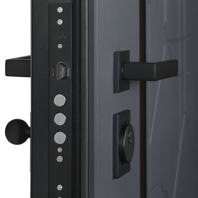 Стальная дверь   Forest с зеркалом