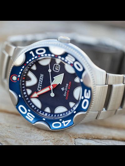 Наручные часы Citizen BN0231-52L