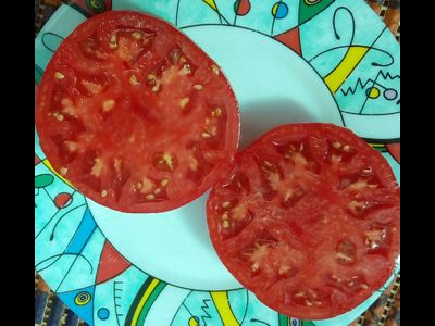 Томат Мир Марианны (Marianna's Peace)