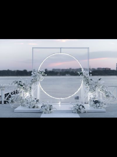Арка для выездной церемонии "Lux"