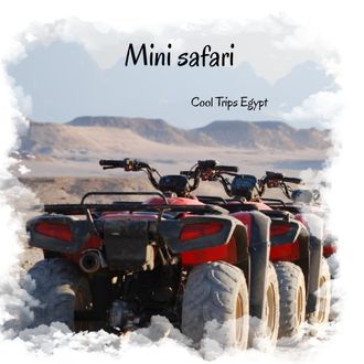 MINI SAFARI (El Quseir, Port Ghalib, Marsa Alam)