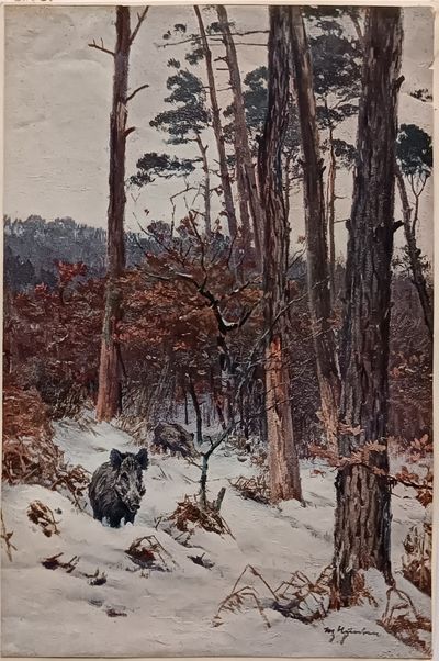&quot;Кабаны в зимнем лесу&quot; фототипия 1920-е годы