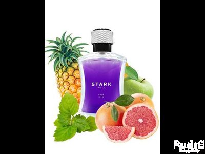 Dilis Туалетная вода мужская Stark WILL | Дилис