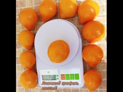 Томат Японский трюфель желтый