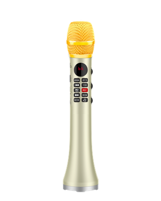 профессиональный караоке-микрофон L-699 DSP  20w