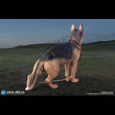 Немецкая овчарка (Служебная собака) - Коллекционная ФИГУРКА 1/6 scale German Shepherd (AS003) - DID