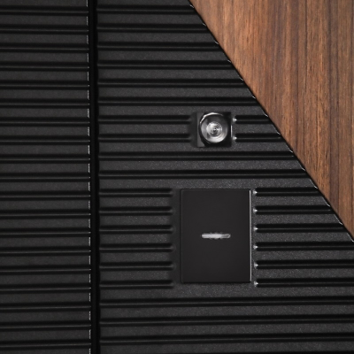 Стальная дверь   Берилл с зеркалом (биометрический замок DZ 888). Заказная модель.