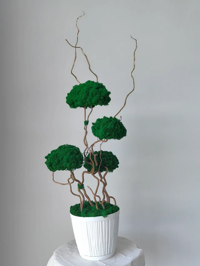 Живая эко-композиция 1001