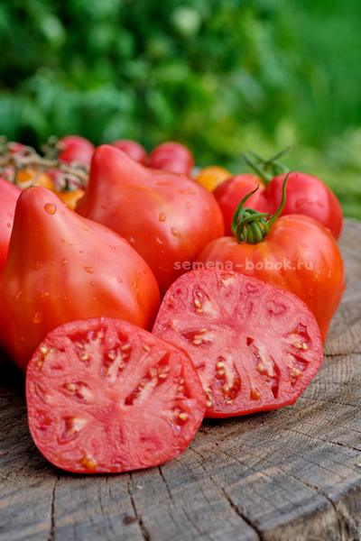 Томат Кызыл Тау, 10 шт